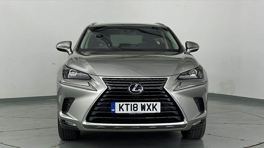 Lexus NX 300H Luxury #3