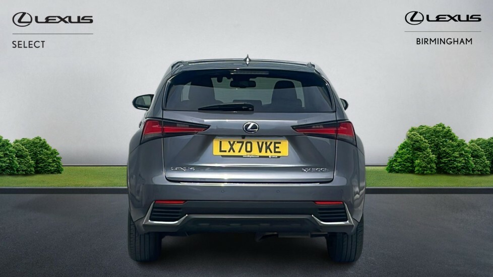 Lexus NX 2.5 300H Gpf E-cvt 4Wd Euro 6 Ss LX70VKE Grey #5