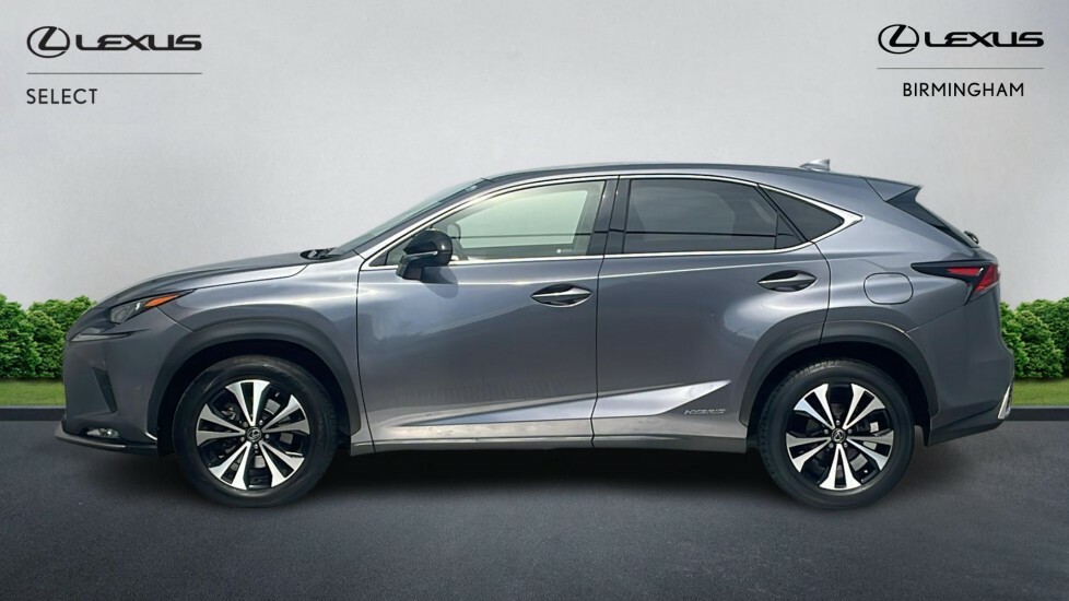 Lexus NX 2.5 300H Gpf E-cvt 4Wd Euro 6 Ss LX70VKE Grey #3