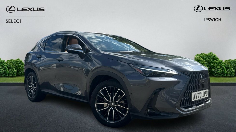Lexus NX 2.5 450H 18.1Kwh Takumi E-cvt 4Wd Euro 6 Ss Grey