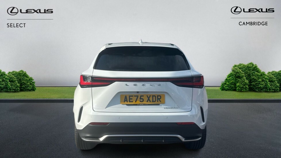 Lexus NX 2.5 450H 18.1Kwh F Sport E-cvt 4Wd Euro 6 Ss 5 AE75XDR White #5