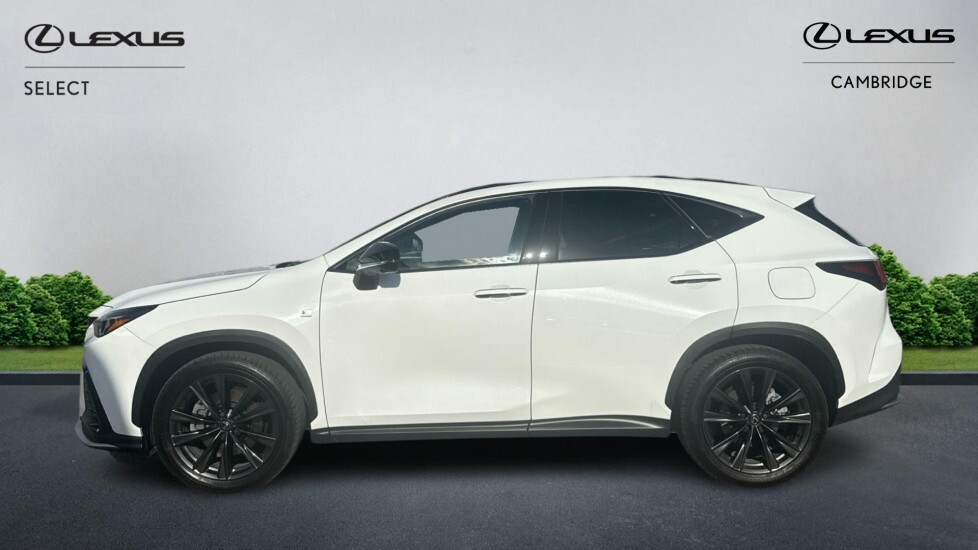 Lexus NX 2.5 450H 18.1Kwh F Sport E-cvt 4Wd Euro 6 Ss 5 AE75XDR White #3