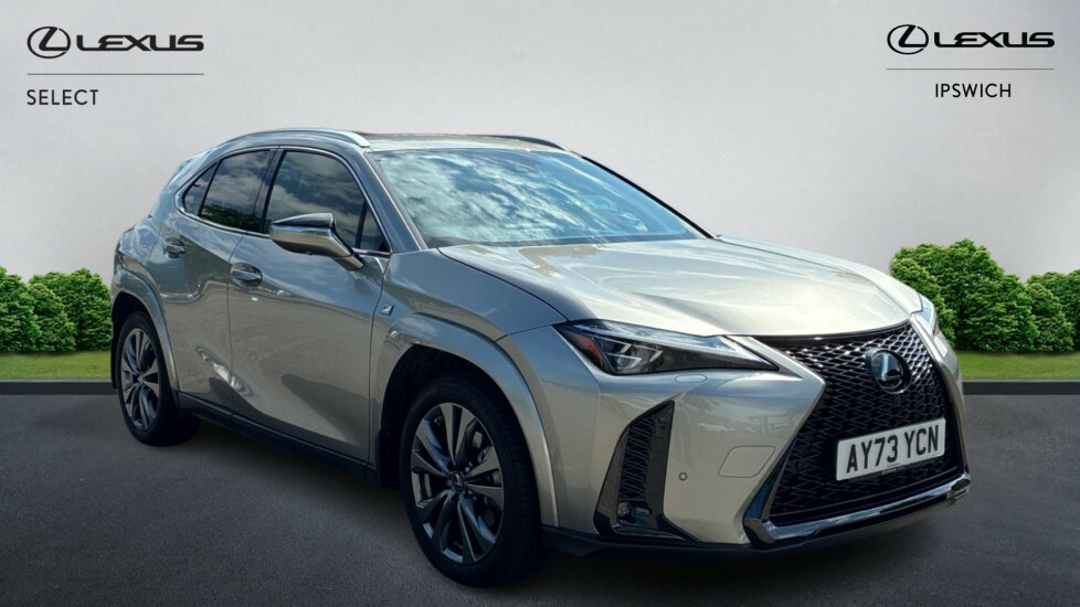 Lexus UX 2.0 250H F Sport E-cvt Euro 6 Ss Silver