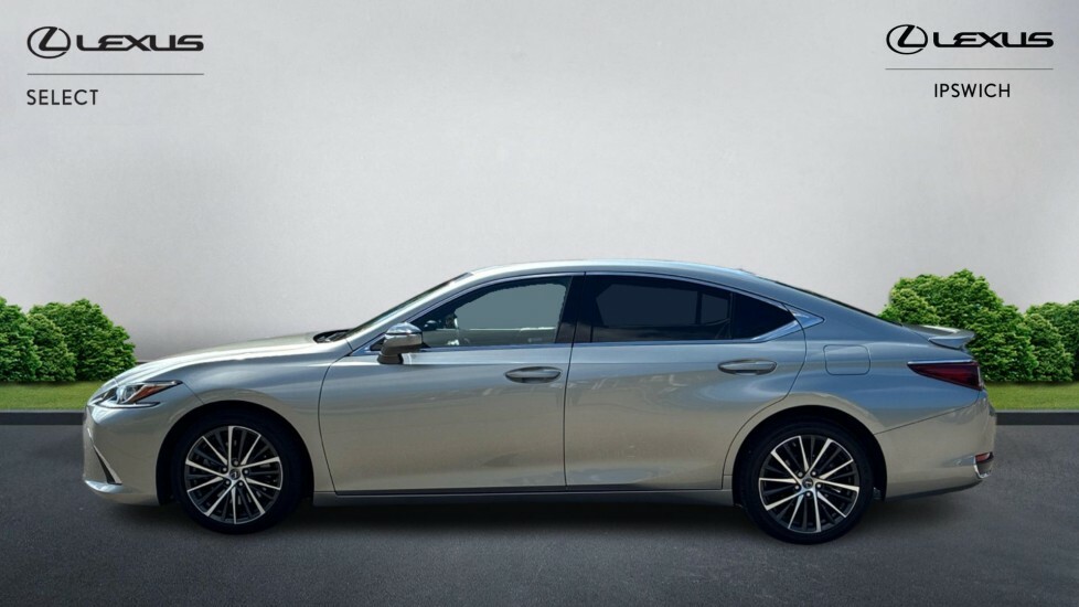 Lexus ES 2.5 300H Premium Edition E-cvt Euro 6 Ss Silver #3