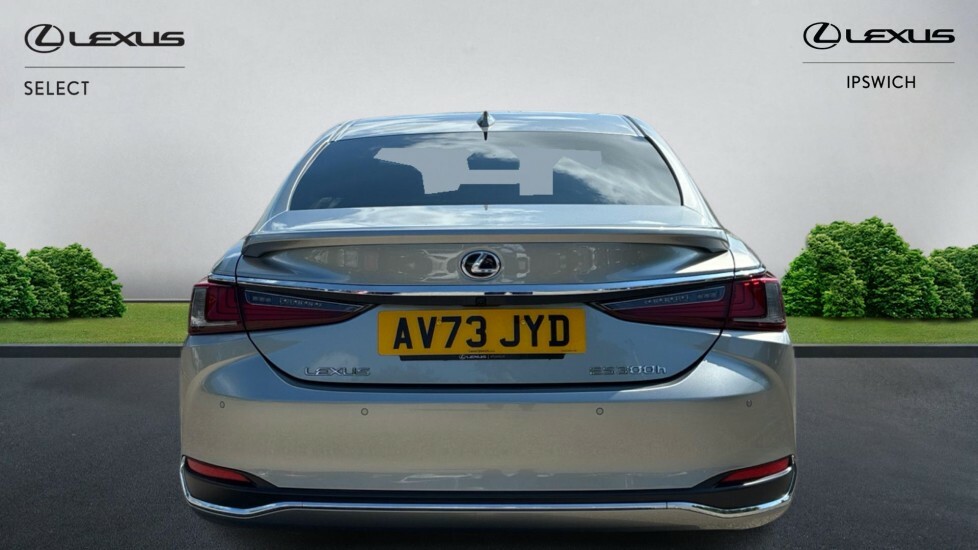 Lexus ES 2.5 300H Premium Edition E-cvt Euro 6 Ss Silver #5
