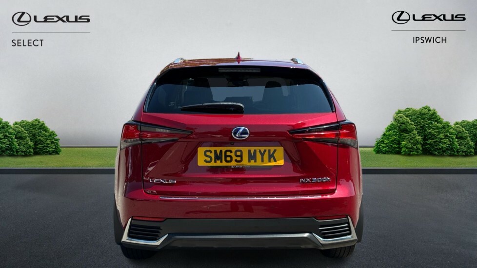 Lexus NX 2.5 300H Gpf E-cvt 4Wd Euro 6 Ss Red #5