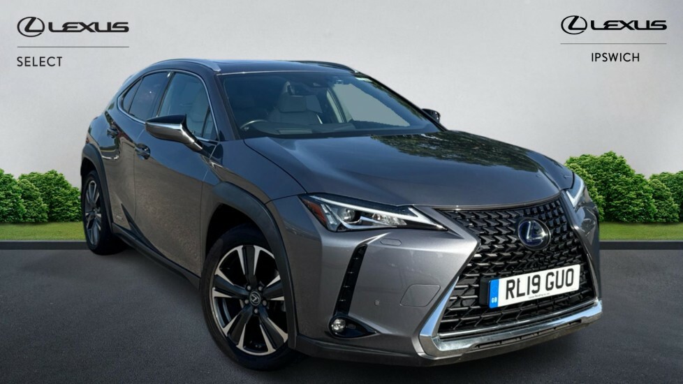 Lexus UX 2.0 250H E-cvt Euro 6 Ss Grey