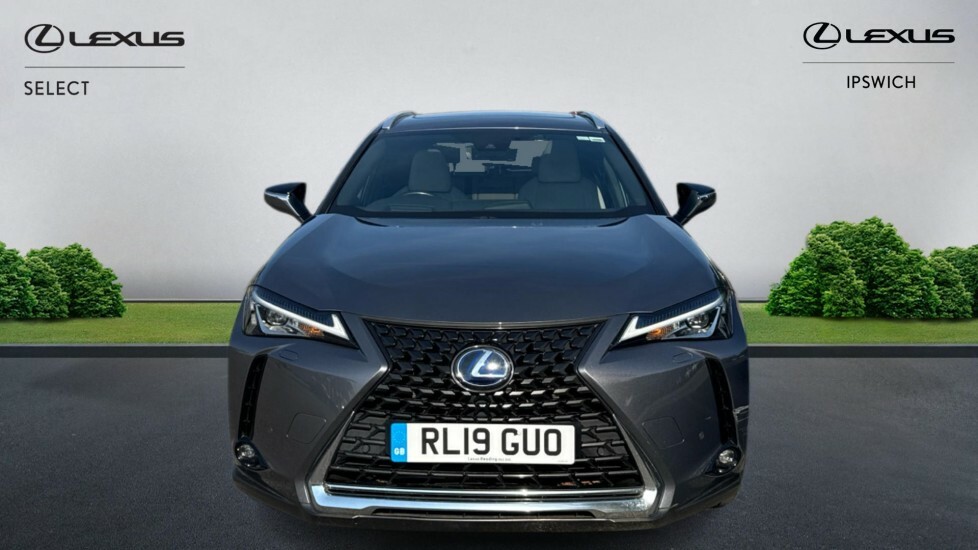 Lexus UX 2.0 250H E-cvt Euro 6 Ss Grey #4