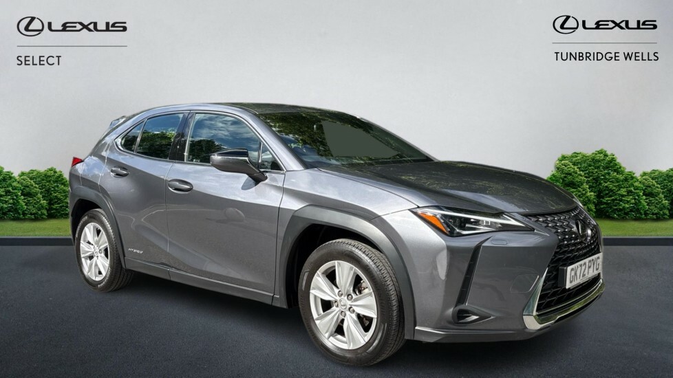 Lexus UX 2.0 250H E-cvt Euro 6 Ss Grey