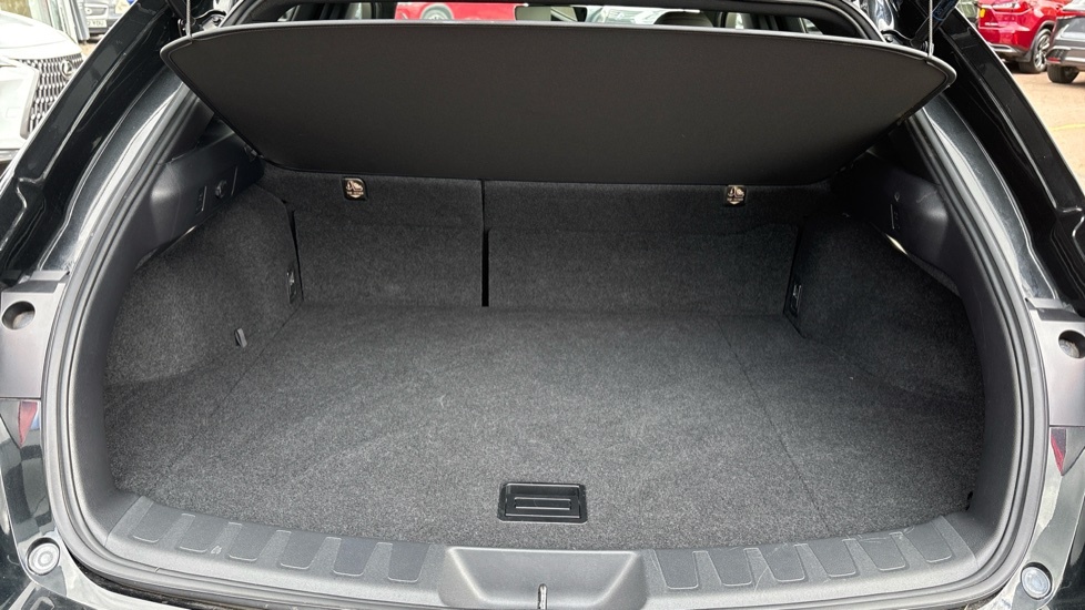 Lexus UX 250H 2.0 F-sport Design Cvt Black #14