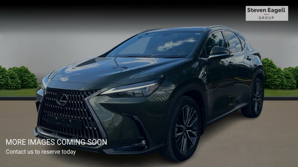 Lexus NX 2.5 450H 18.1Kwh Takumi Suv Plug-in Hy Green #3