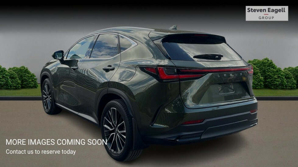 Lexus NX 2.5 450H 18.1Kwh Takumi Suv Plug-in Hy Green #2