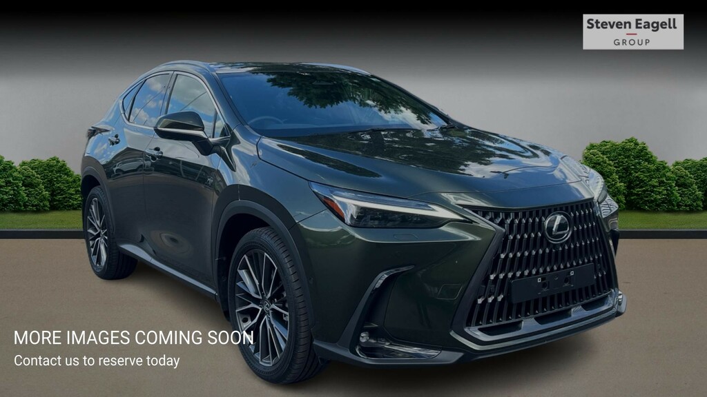 Lexus NX 2.5 450H 18.1Kwh Takumi E-cvt 4Wd Euro 6 Ss Green