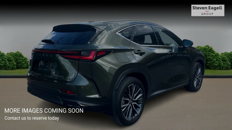 Lexus NX 2.5 450H 18.1Kwh Takumi Suv Plug-in Hy Green #4