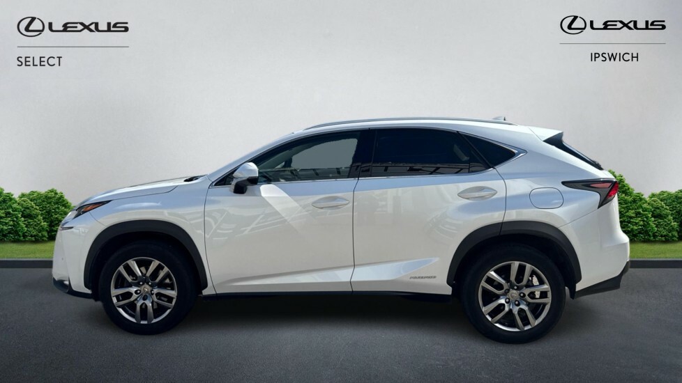 Lexus NX 2.5 300H Luxury E-cvt 4Wd Euro 6 Ss White #3