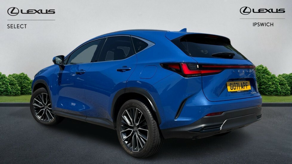 Lexus NX 2.5 450H 18.1Kwh Takumi E-cvt 4Wd Euro 6 Ss Blue #2