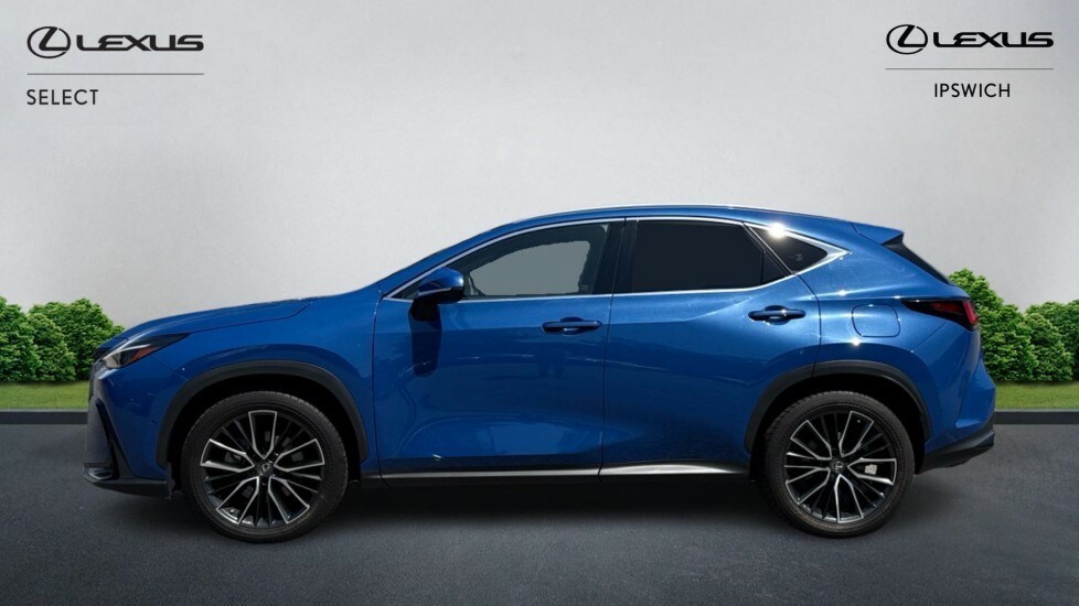 Lexus NX 2.5 450H 18.1Kwh Takumi E-cvt 4Wd Euro 6 Ss Blue #3