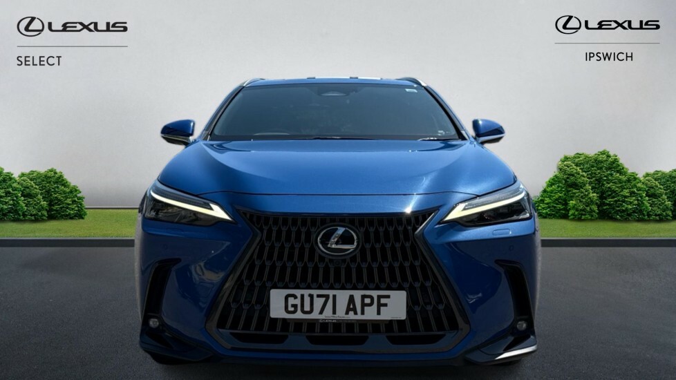 Lexus NX 2.5 450H 18.1Kwh Takumi E-cvt 4Wd Euro 6 Ss Blue #4