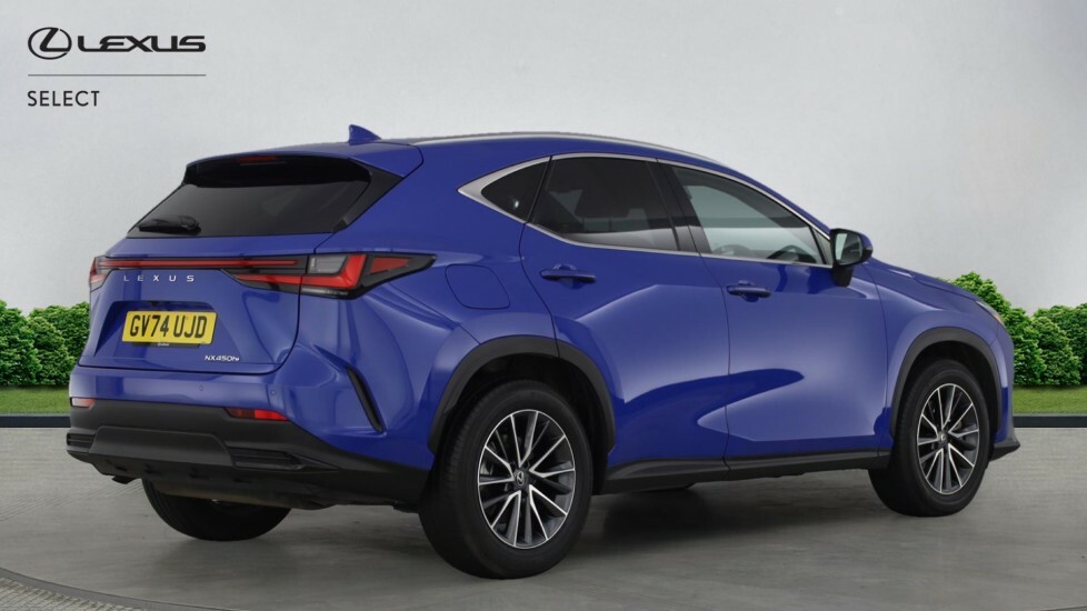 Lexus NX 2.5 450H 18.1Kwh Takumi E-cvt 4Wd Euro 6 Ss Green #18