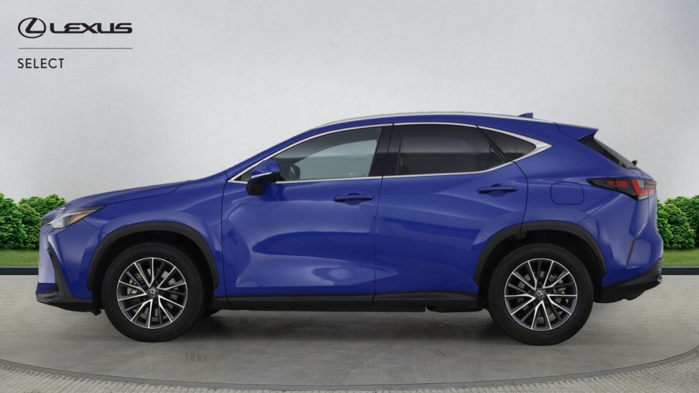 Lexus NX 2.5 450H 18.1Kwh Premium E-cvt 4Wd Euro 6 Ss 5 Blue #3