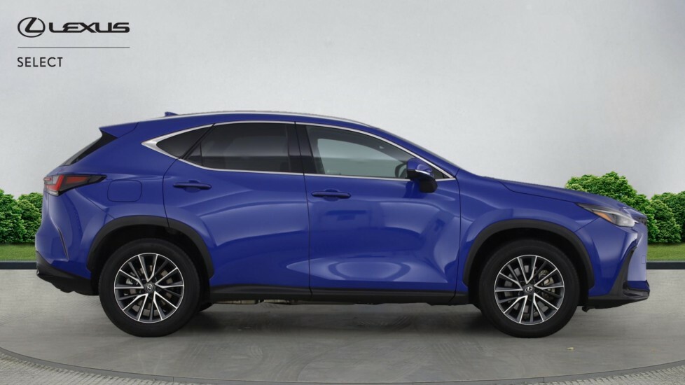 Lexus NX 2.5 450H 18.1Kwh Takumi E-cvt 4Wd Euro 6 Ss Green #16