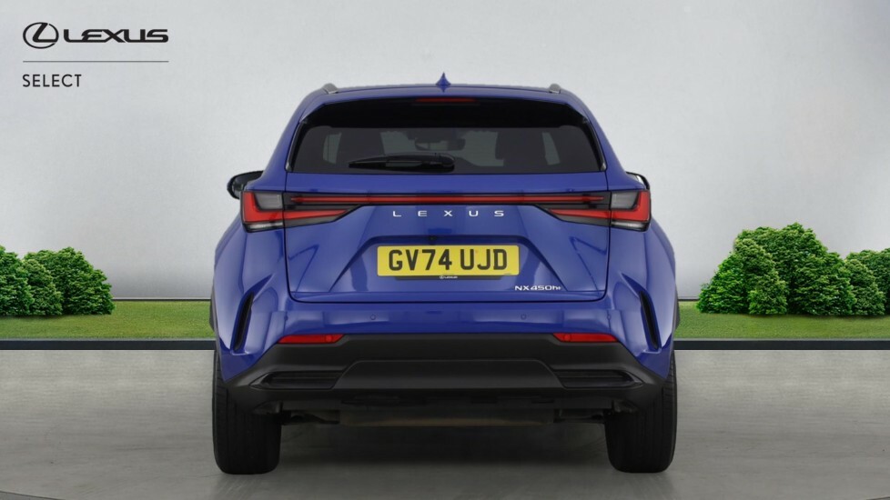 Lexus NX 2.5 450H 18.1Kwh Premium E-cvt 4Wd Euro 6 Ss 5 Blue #5
