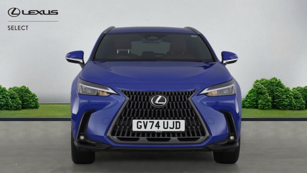 Lexus NX 2.5 450H 18.1Kwh Premium E-cvt 4Wd Euro 6 Ss 5 Blue #4