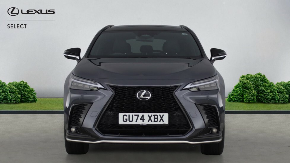 Lexus NX 2.5 450H 18.1Kwh F Sport E-cvt 4Wd Euro 6 Ss 5 Grey #4