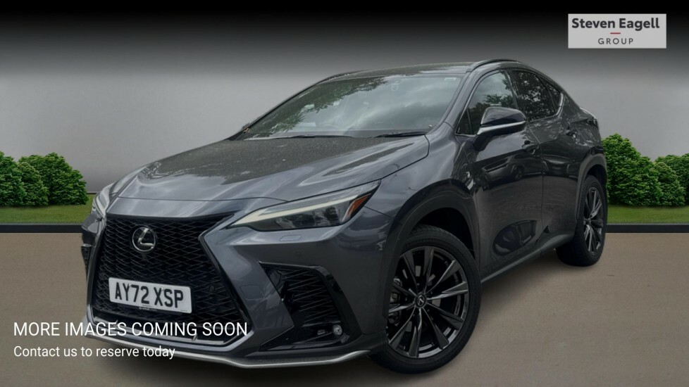 Lexus NX 2.5 350H F Sport E-cvt 4Wd Euro 6 Ss Grey #3