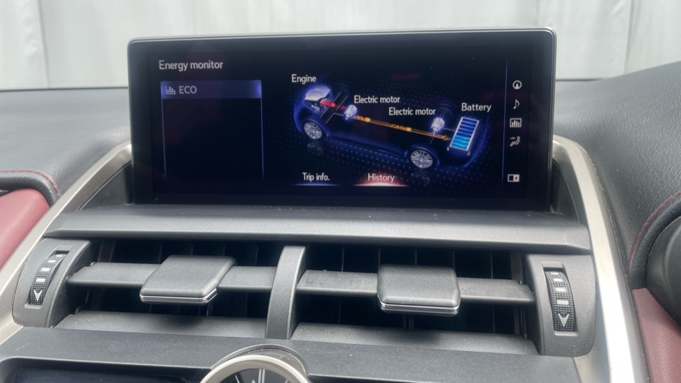 Lexus NX 300H Grey #50