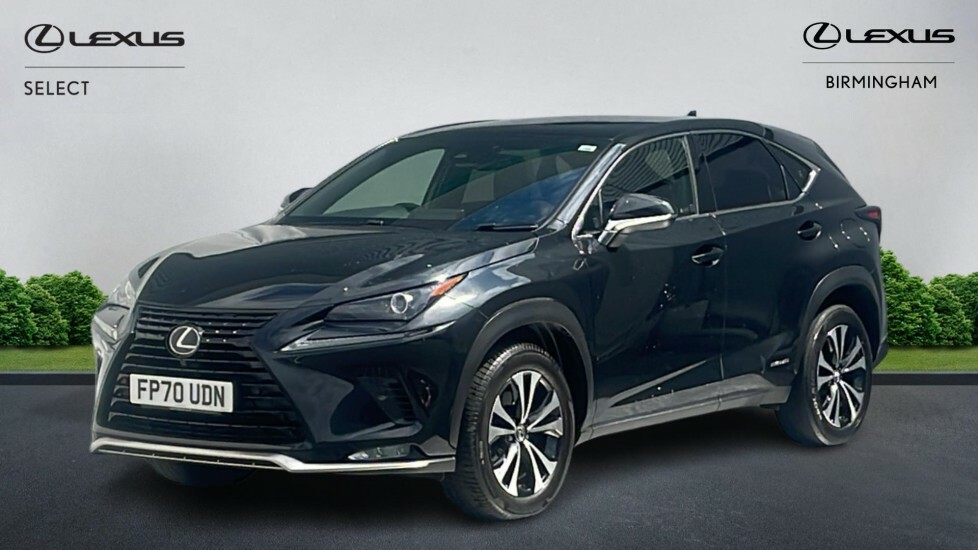 Lexus NX 300H Grey #26