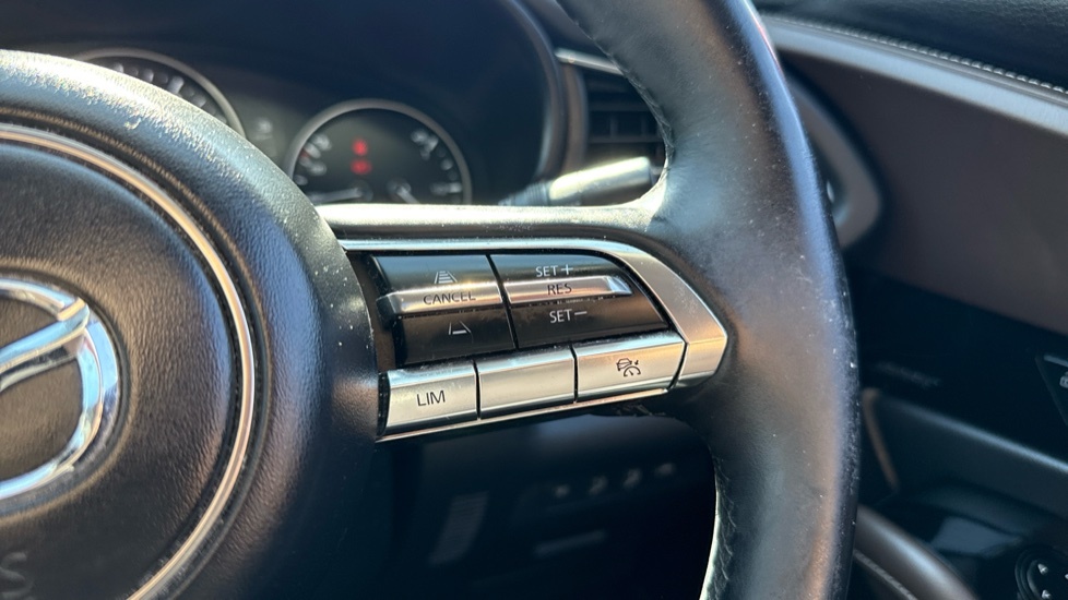 Mazda CX-30 Gt Sport Tech Grey #32