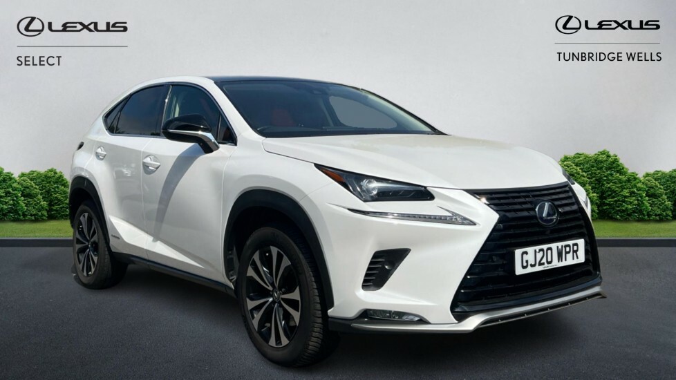 Lexus NX 2.5 300H Gpf E-cvt 4Wd Euro 6 Ss White