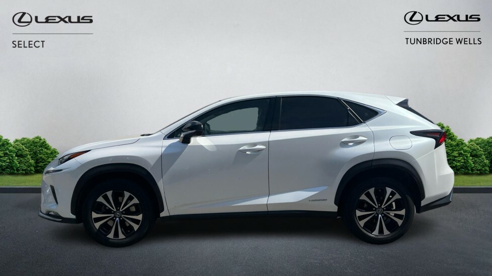 Lexus NX 2.5 300H Gpf E-cvt 4Wd Euro 6 Ss White #3