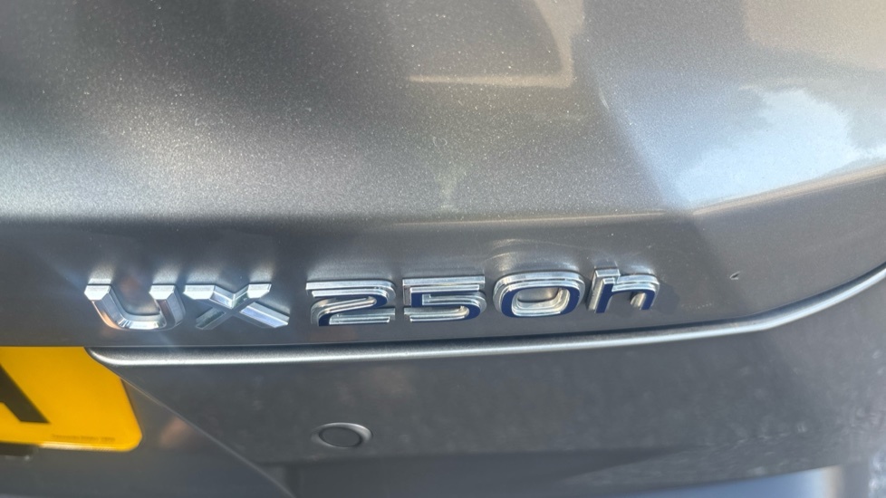 Lexus UX 2.0 E-cvt Euro 6 Ss White #31