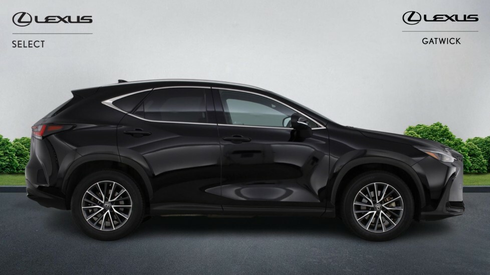 Lexus NX 2.5 E-cvt 4Wd Euro 6 Ss Black #24
