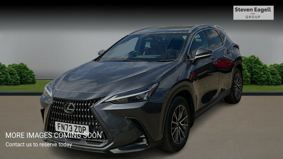 Lexus NX 2.5 350H Premium Suv Hybrid E-cvt 4Wd E FN73ZDP Grey #3