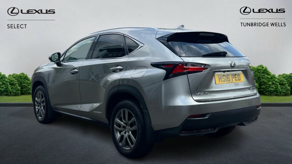 Lexus NX 2.5 300H Luxury E-cvt 4Wd Euro 6 Ss Silver #2