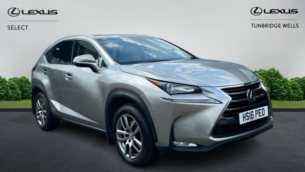 Lexus NX 2.5 300H Luxury E-cvt 4Wd Euro 6 Ss Silver
