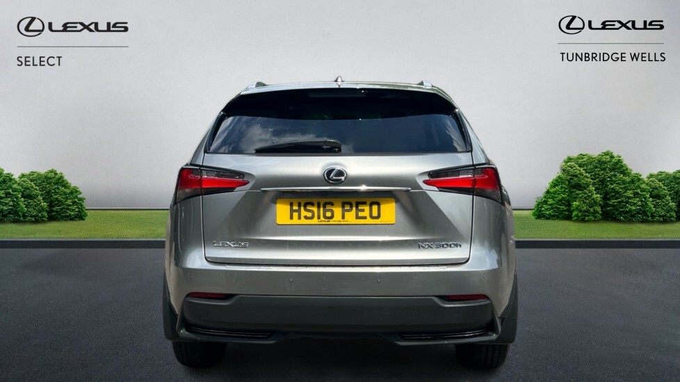 Lexus NX 2.5 300H Luxury E-cvt 4Wd Euro 6 Ss Silver #5