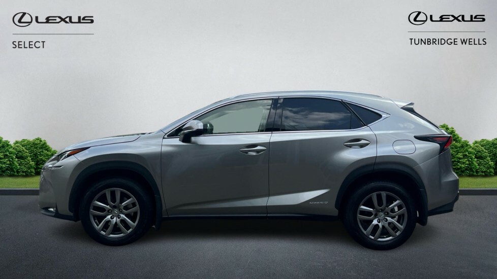 Lexus NX 2.5 300H Luxury E-cvt 4Wd Euro 6 Ss Silver #3