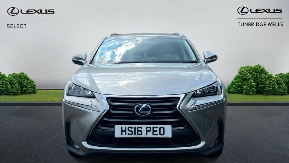 Lexus NX 2.5 300H Luxury E-cvt 4Wd Euro 6 Ss Silver #4