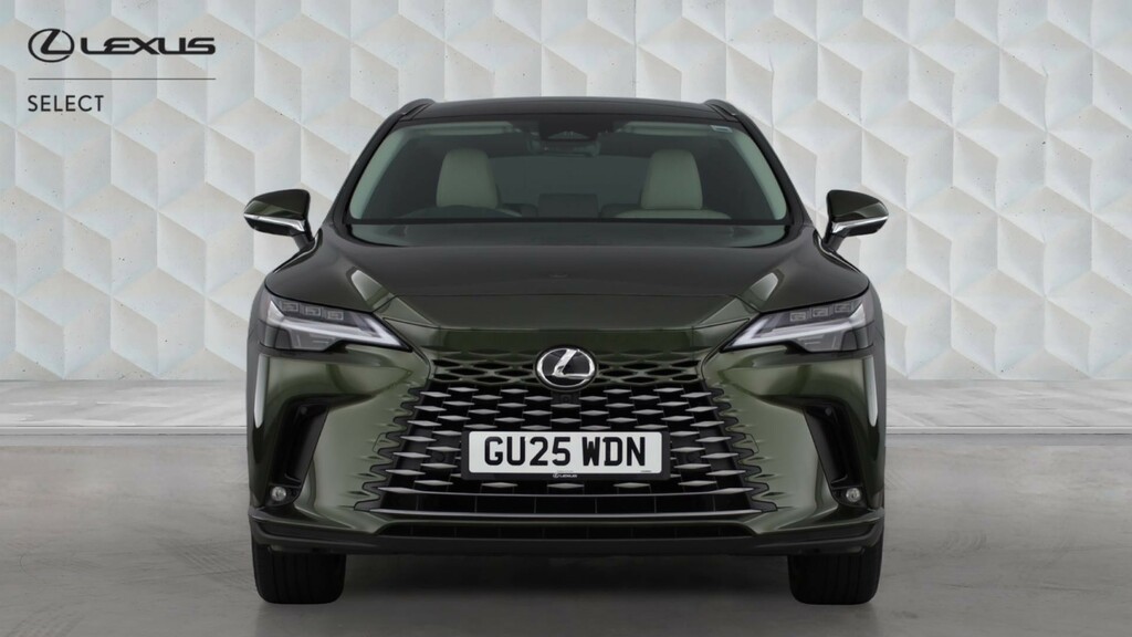 Lexus RX 2.5 350H Prem Plus E-cvt 4Wd Euro 6 Ss Green #4