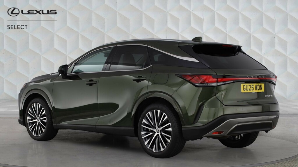 Lexus RX 2.5 350H Prem Plus E-cvt 4Wd Euro 6 Ss Green #2