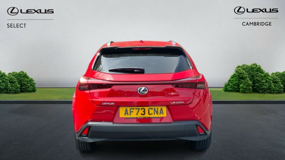 Lexus UX 2.0 250H Takumi Suv Hybrid E-cvt Euro 6 Red #5