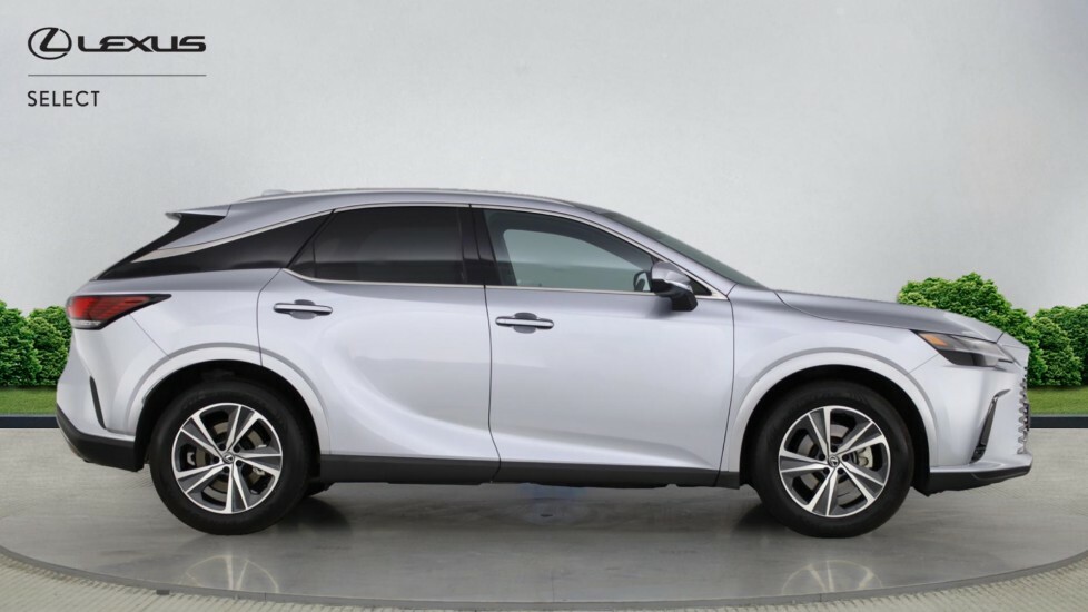 Lexus RX 2.5 350H Prem Plus E-cvt 4Wd Euro 6 Ss Grey #16