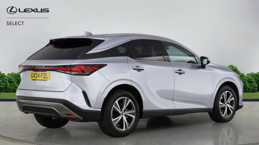 Lexus RX 2.5 350H Prem Plus E-cvt 4Wd Euro 6 Ss Grey #18