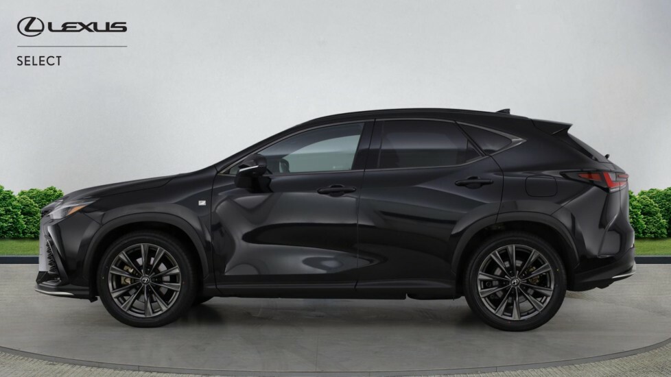 Lexus NX 2.5 450H 18.1Kwh F Sport Takumi Suv Pl Black #3