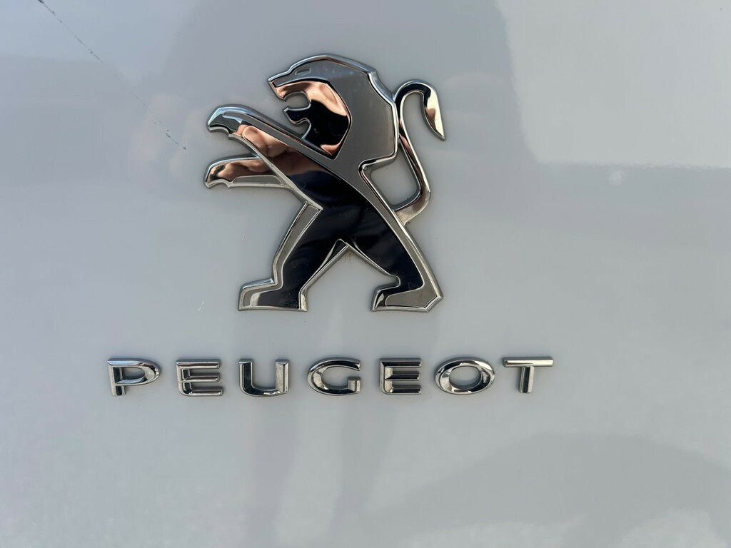 Peugeot Partner Professional Grey #19