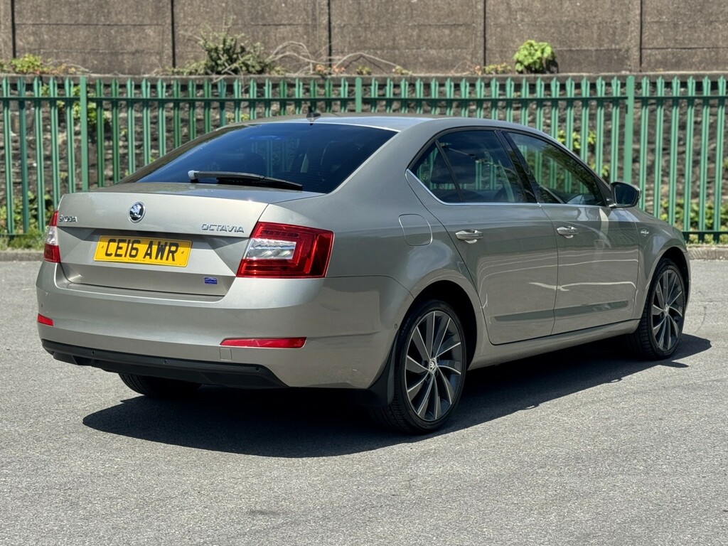 Skoda Octavia 2.0 Tdi Laurin Klement Beige #4